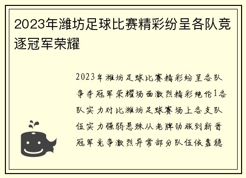 2023年潍坊足球比赛精彩纷呈各队竞逐冠军荣耀