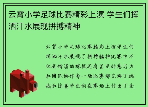 云霄小学足球比赛精彩上演 学生们挥洒汗水展现拼搏精神