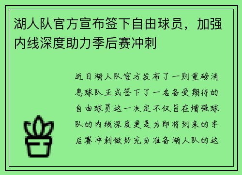 湖人队官方宣布签下自由球员，加强内线深度助力季后赛冲刺