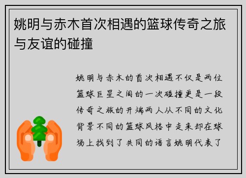 姚明与赤木首次相遇的篮球传奇之旅与友谊的碰撞